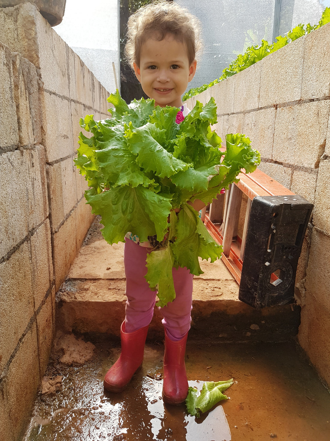 Día Mundial de la Agricultura